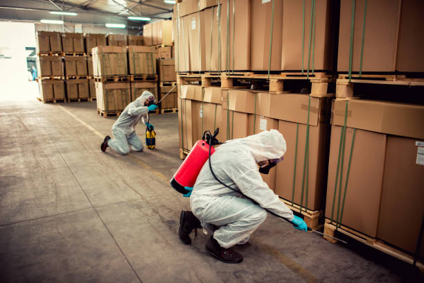 Best Mosquito Control Services  in Biscoe, NC