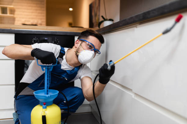 Best Affordable Pest Control Services  in Biscoe, NC