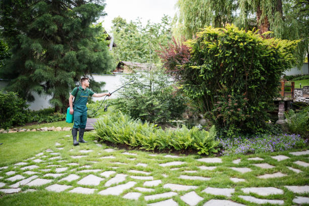 Best Pest Control for Homes  in Biscoe, NC