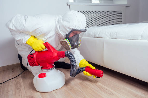 Best Insect Control  in Biscoe, NC