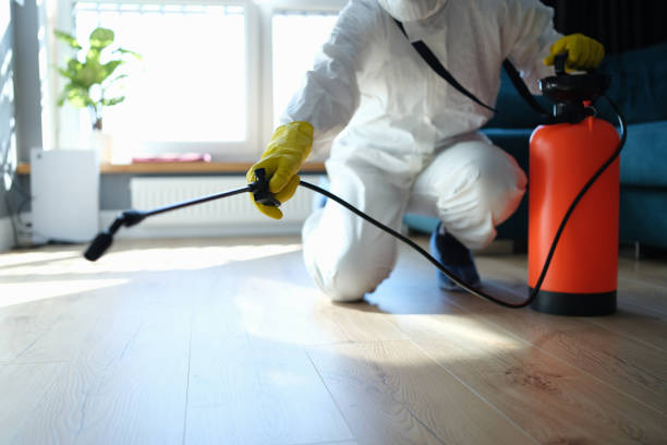 Best Mosquito Control Services  in Biscoe, NC