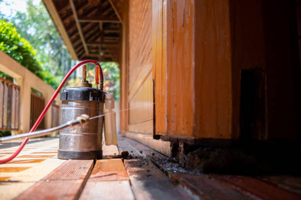 Best Commercial Pest Control Services  in Biscoe, NC
