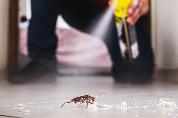 Best Cockroach Control Services  in Biscoe, NC