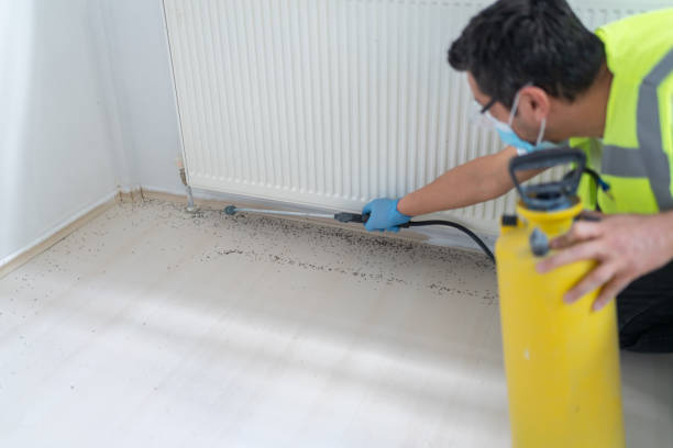 Professional Pest Control in Biscoe, NC
