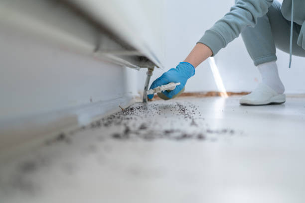 Pest Control for Restaurants in Biscoe, NC