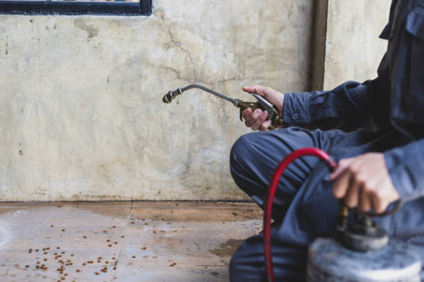 Best Pest Removal Services  in Biscoe, NC